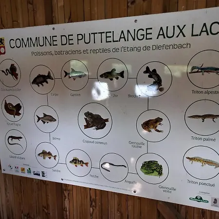 Le Du